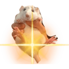 ちまきとおこわでちゅ。