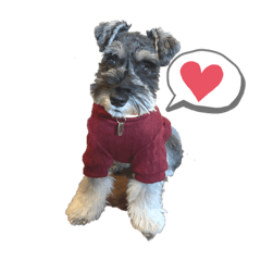 わんわんあるこ