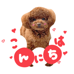 日常生活で使えるスタンプ(愛犬くらら)