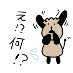 我が家のだいごろう