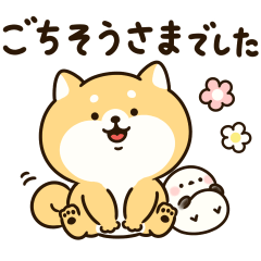 ぽちゃしばちゃん『毎日使える敬語・挨拶』