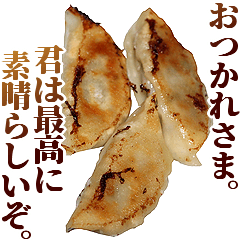 さらに全てを肯定する餃子