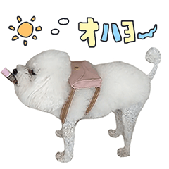 修正版 愛犬メロンさんの日常スタンプ