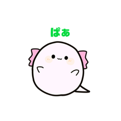 まるっこウパさん