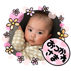 ぴかぴかちゃん①