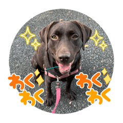 バルーのスタンプ