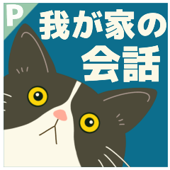 ハチワレぶーにゃん我が家の会話＊飛び出す