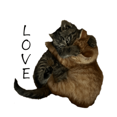 サバまる&ちゃちゃ