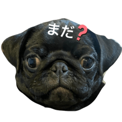 パグスタンプいくら＆たらこ