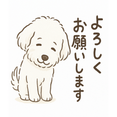 ふわもこドゥードゥルの日常