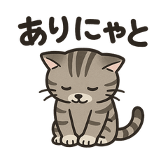 脱力アメショのゆるっと毎日