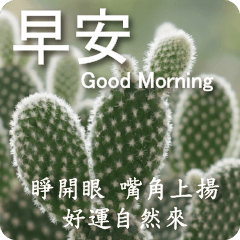 A Gentle Greeting from Succulents 5