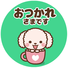 ❤️動く！春のトーク♡ティカッププードル