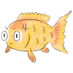 goldfishlover_20260228112120