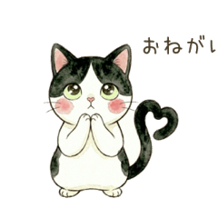 白黒ねっこ