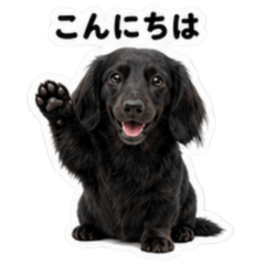 ダックスといつも一緒！Ver.3