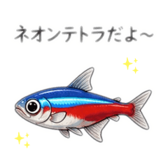 ネオンテトラ【熱帯魚シリーズ】