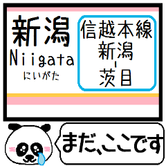 信越本線(新潟-茨目) 今まだこの駅です！