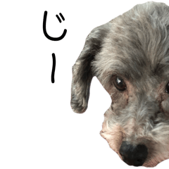 リオン君といっしょ！