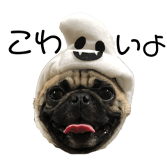 ふれぶるとぱぐ