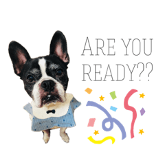 ボブ・らんまる