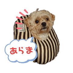 さくら&あずきらいふ