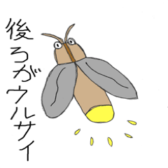 しゅーるサマー