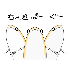 アルビノツメガエルのグーチョキパー