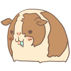 うちのもるぷいズ