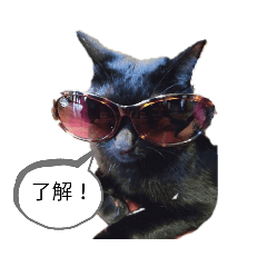 ねこくんだよ3!