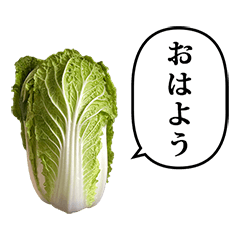 はくさい と ふきだし