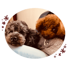 むさし＆シェリ