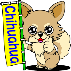 かわいいチワワ犬