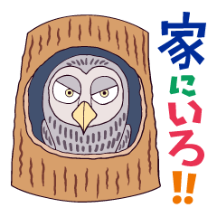 生きもの☆ステイホーム！