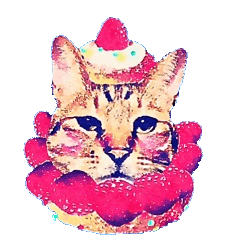 悪山ばるぞうのリアルちっくな猫スタンプ