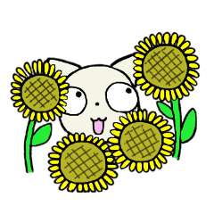 まんまるネコ２