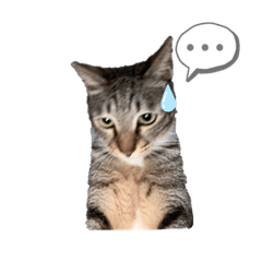 Honey_20200921215134