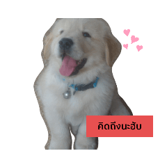 Hello_20201108185926