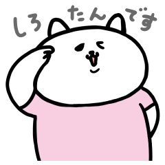 ネコ の しろたん