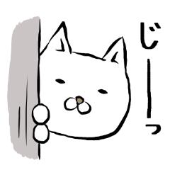 ねこのちょっとちゃん