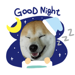 あまのじゃくなしば犬