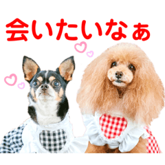 マティラとノアールのキュートなスタンプ