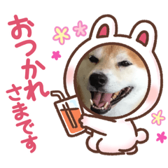 しばてん　ふゆ