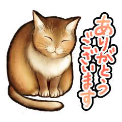 猫と会話するスタンプ