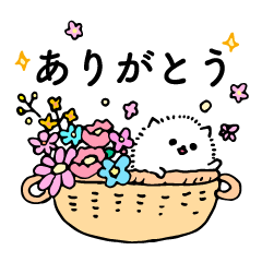 ほっこりポメラニアン