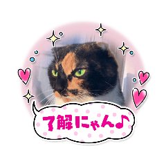 ルーシーのスタンプ１