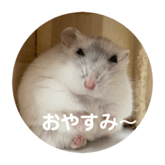 だいふく　あいさつ