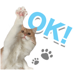 Chillさんの日常スタンプ