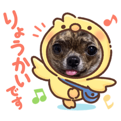 ごまぽんずー！