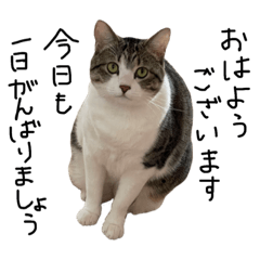 てんちゃんの日頃